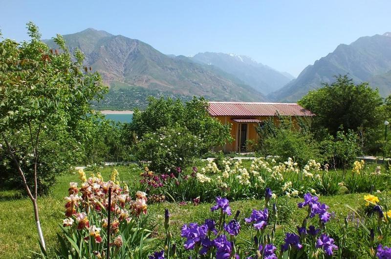 Avenue Park Hotel Yusufkhona Zewnętrze zdjęcie